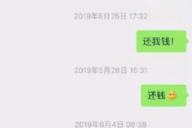 榆林为什么选择专业追讨公司来处理您的债务纠纷？